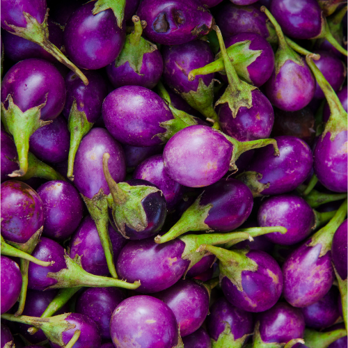 Brinjal