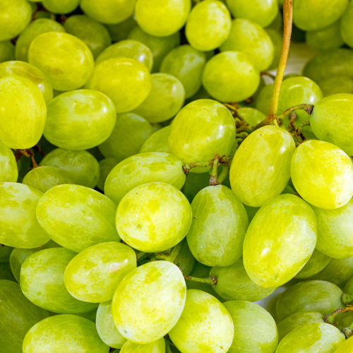 Thompson Green Grapes