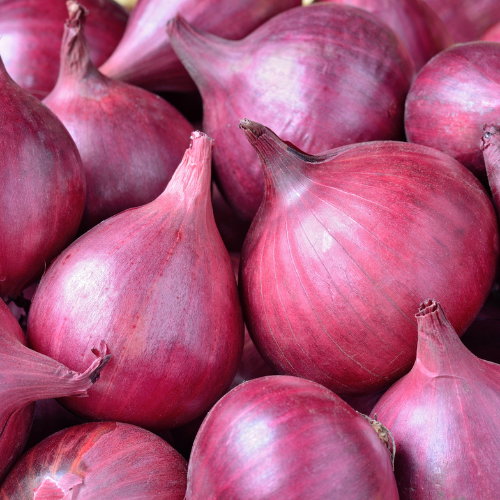 Onion